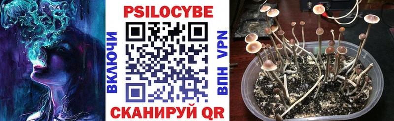 Галлюциногенные грибы мухоморы цена наркотик Коркино