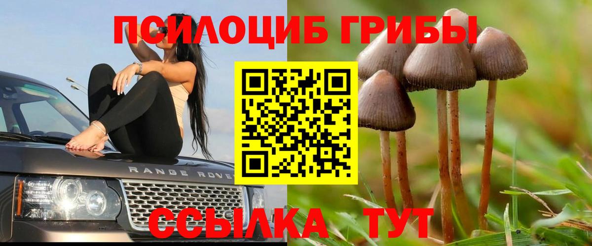 Псилоцибиновые грибы прущие грибы  сколько стоит  Коркино  Псилоцибиновые грибы GOLDEN TEACHER  Вход с VPN 
